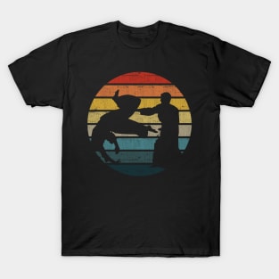 Aikido Silhouette On A Distressed Retro Sunset graphic T-Shirt